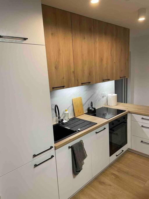Lucky Seven Cosy 1-Bedroom Apartment, Free Parking 克拉科夫 外观 照片