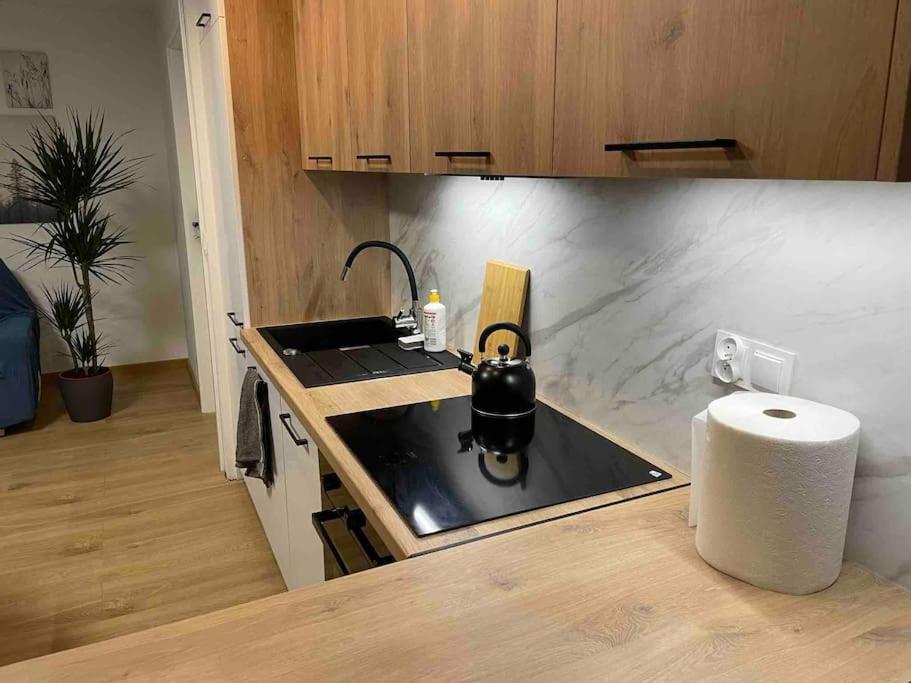 Lucky Seven Cosy 1-Bedroom Apartment, Free Parking 克拉科夫 外观 照片