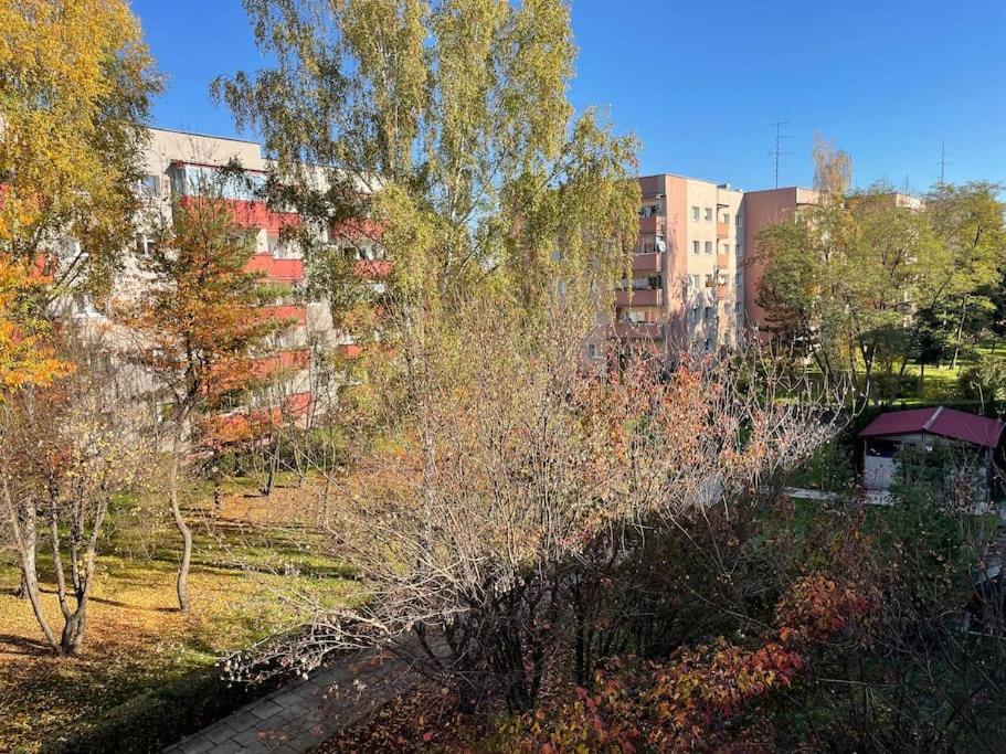 Lucky Seven Cosy 1-Bedroom Apartment, Free Parking 克拉科夫 外观 照片