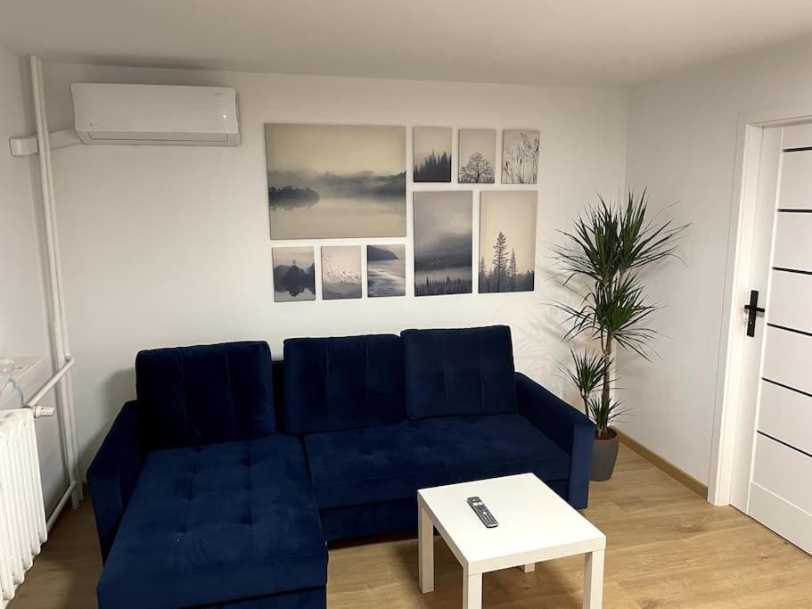 Lucky Seven Cosy 1-Bedroom Apartment, Free Parking 克拉科夫 外观 照片